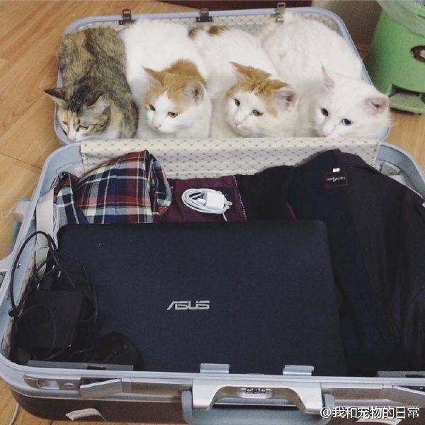 Daily Picdump