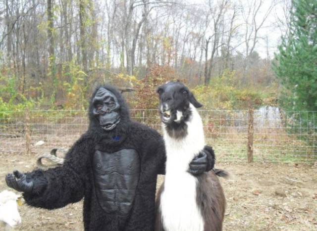 Daily Picdump