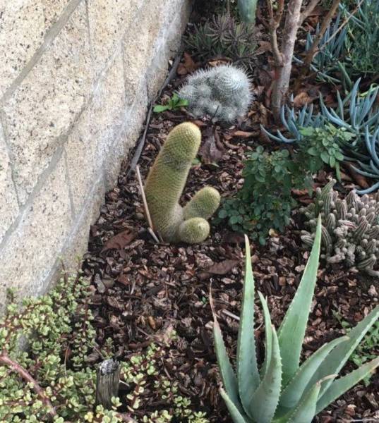 Daily Picdump
