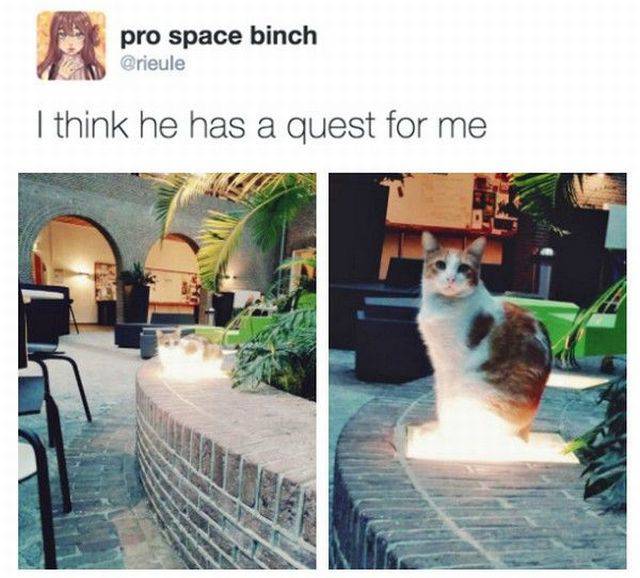Daily Picdump