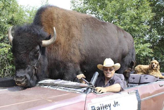 Daily Picdump