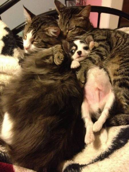 Daily Picdump
