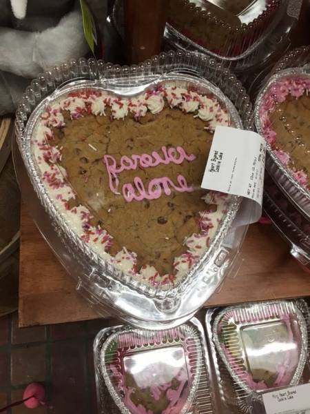 Daily Picdump