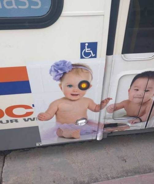 Daily Picdump