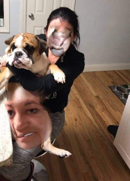 Content Image