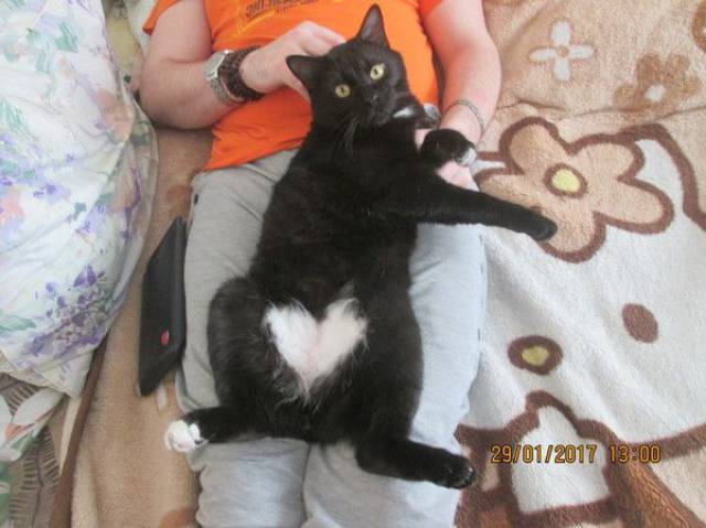 Content Image