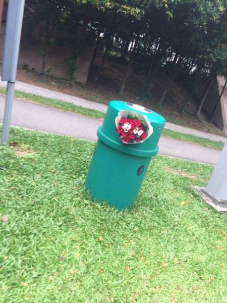 Content Image