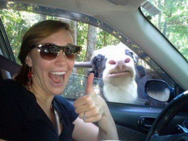 Content Image