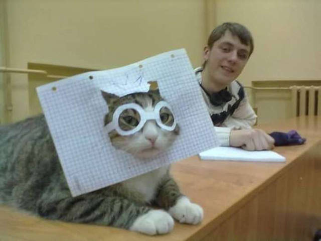 Content Image