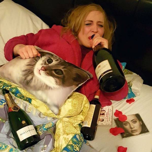 Daily Picdump