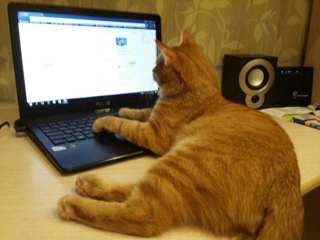 Daily Picdump