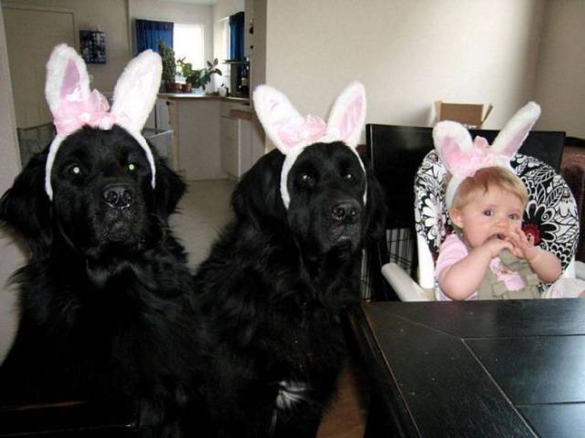 Daily Picdump
