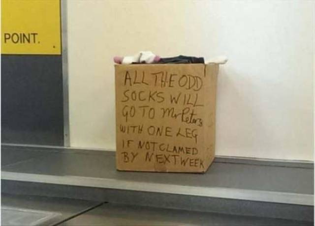 Daily Picdump