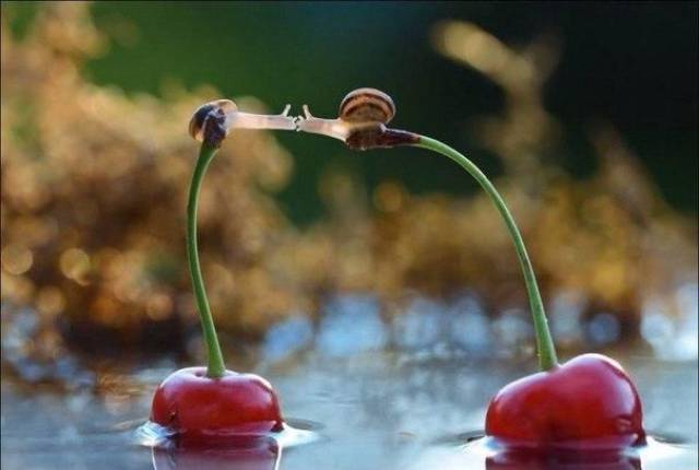 Daily Picdump