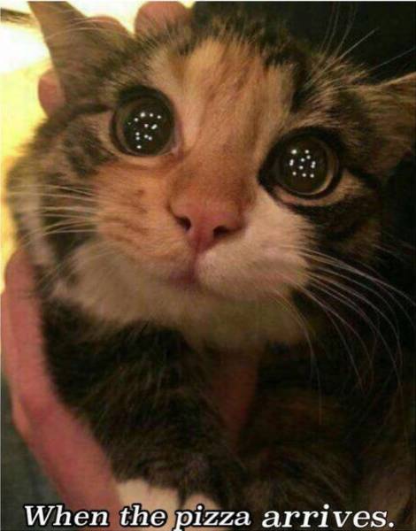 Content Image