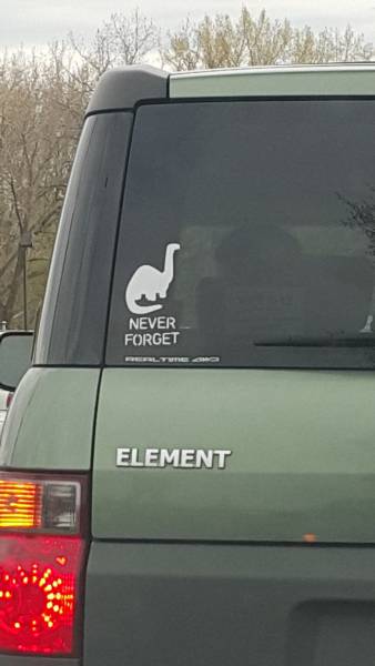 Morning Picdump