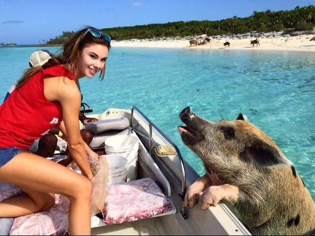 Morning Picdump
