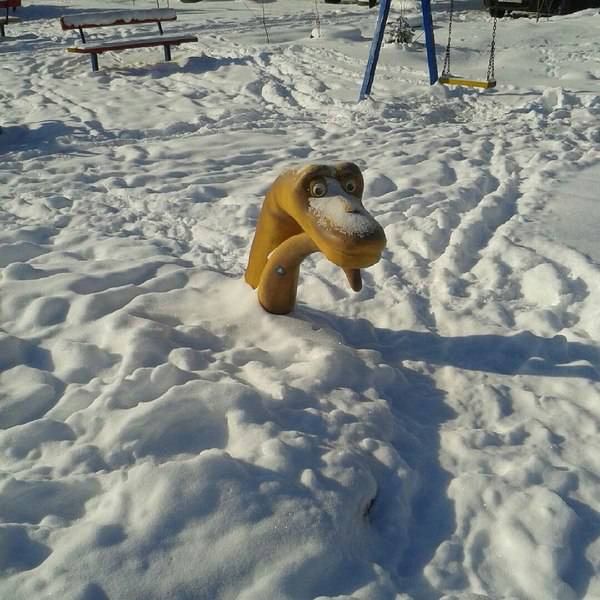 Morning Picdump