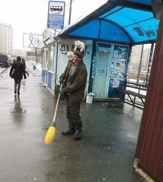Content Image
