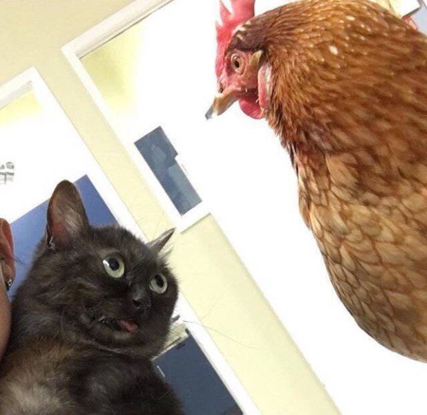 Daily Picdump