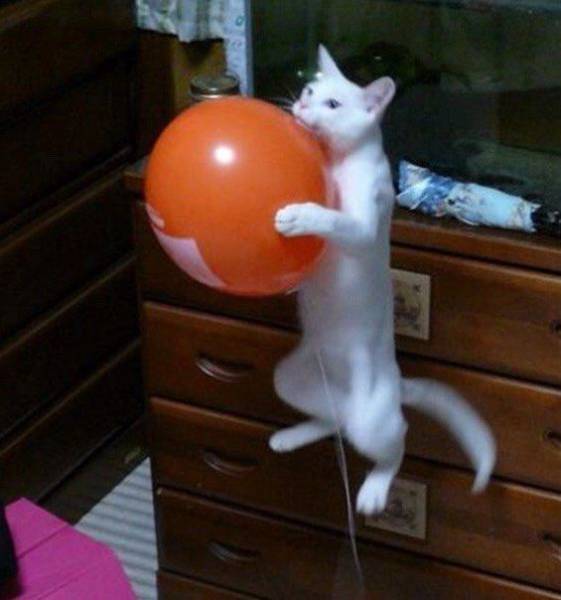 Daily Picdump
