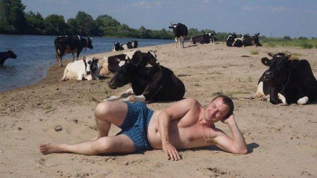 Daily Picdump