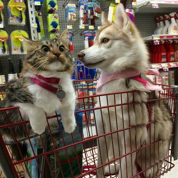 Daily Picdump