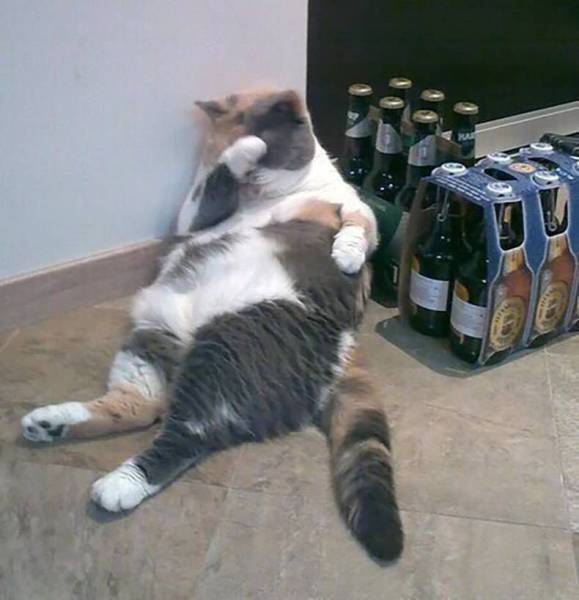 Daily Picdump