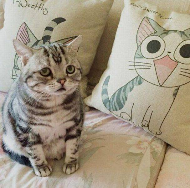 Daily Picdump