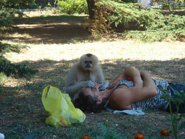 Daily Picdump