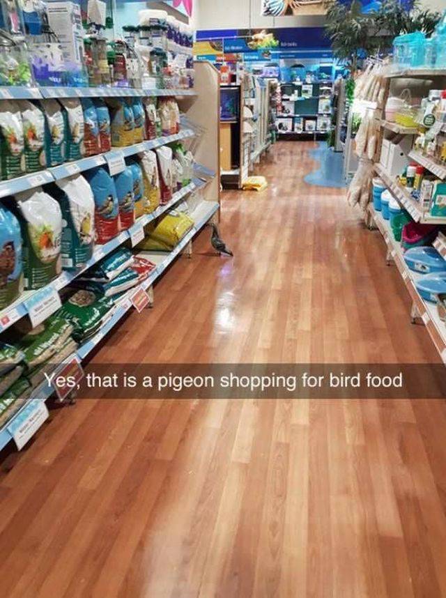 Content Image
