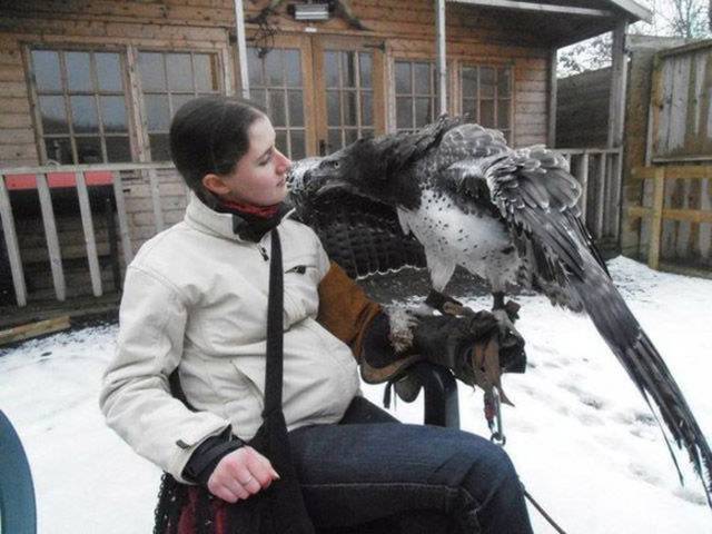 Content Image