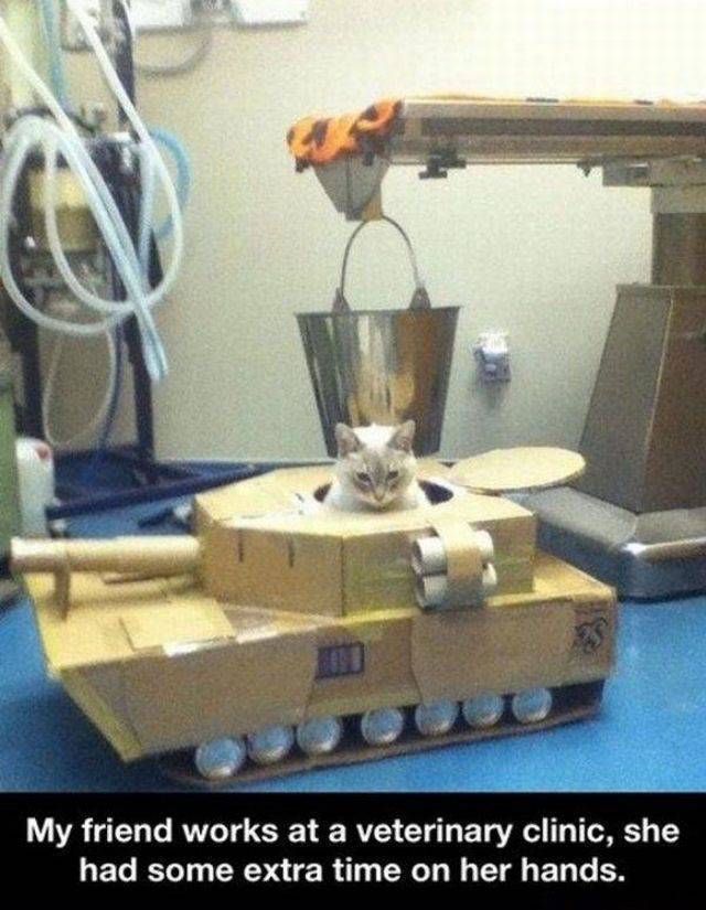Content Image