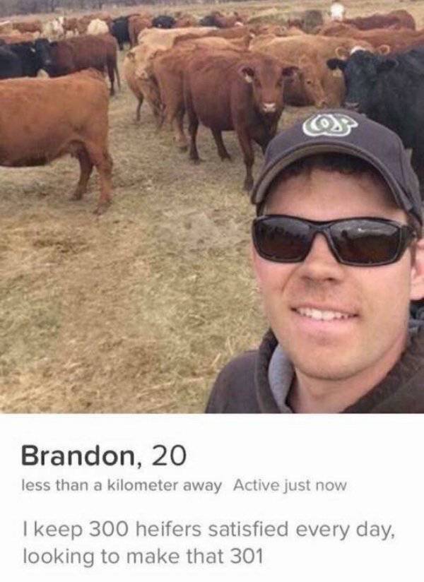 Why Are These Tinder Profiles Even A Thing?!