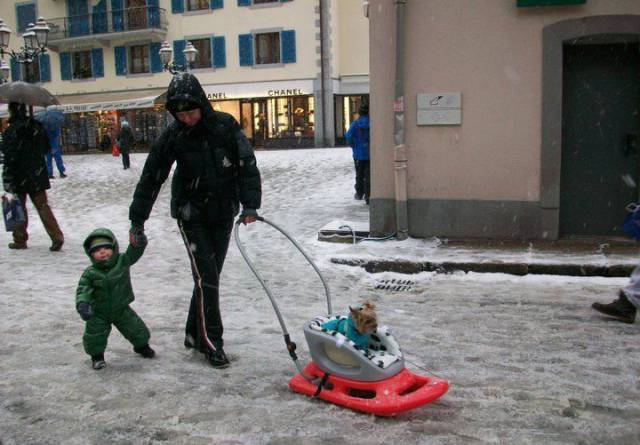 Daily Picdump