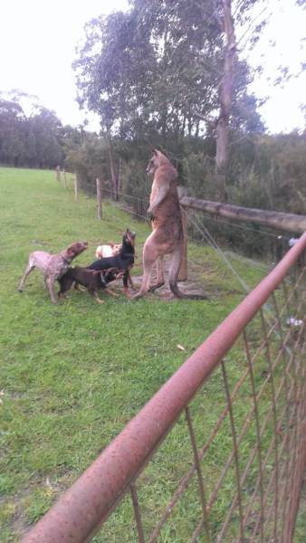 Daily Picdump
