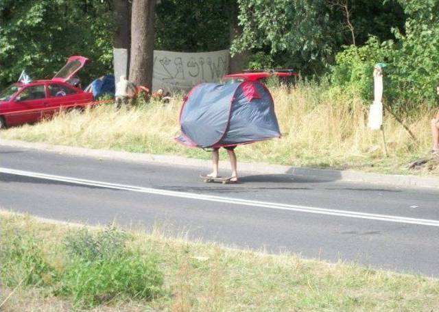 Daily Picdump