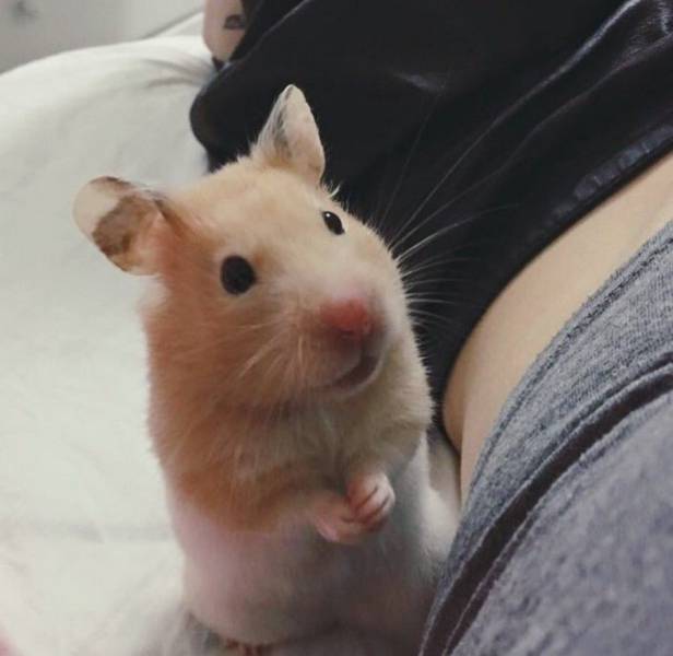 Daily Picdump