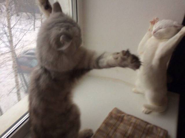 Daily Picdump