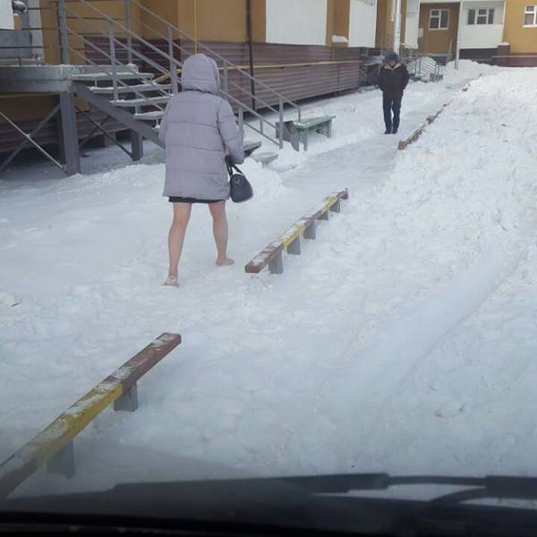 Daily Picdump