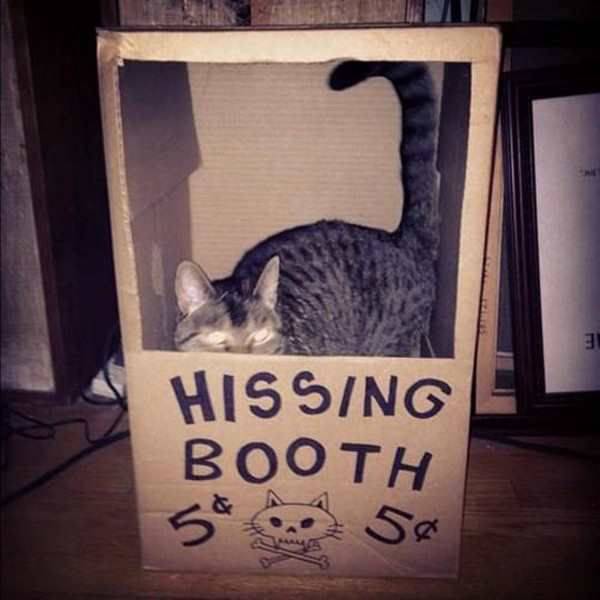 Daily Picdump