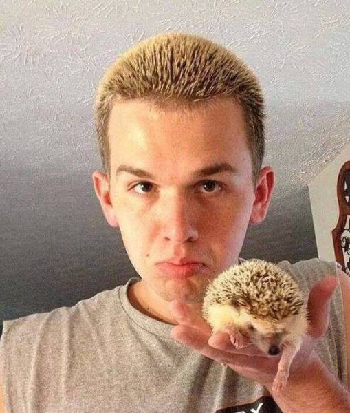 Content Image