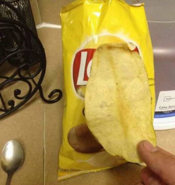 Content Image