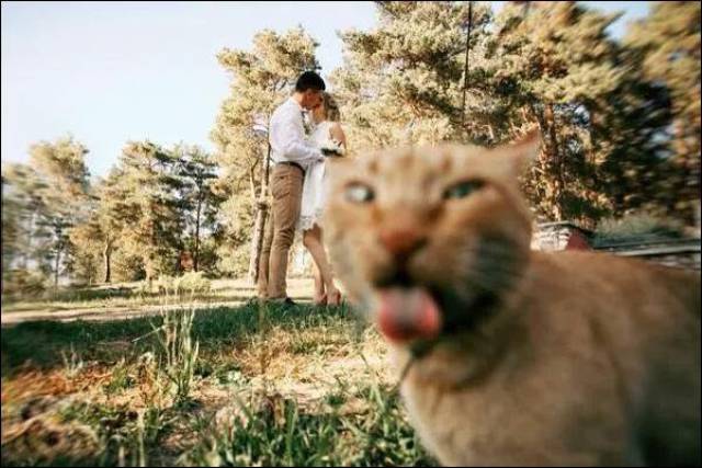 Content Image