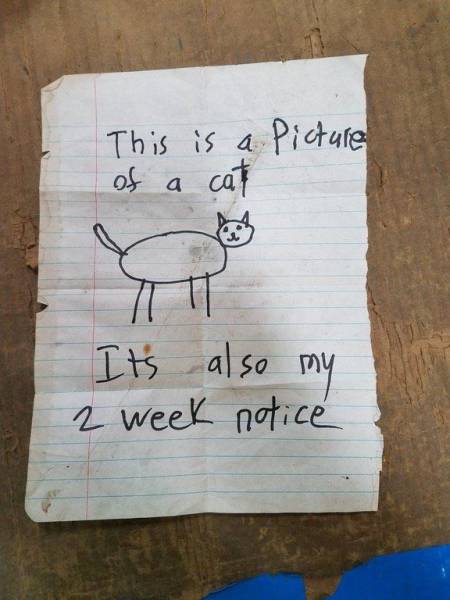 Content Image