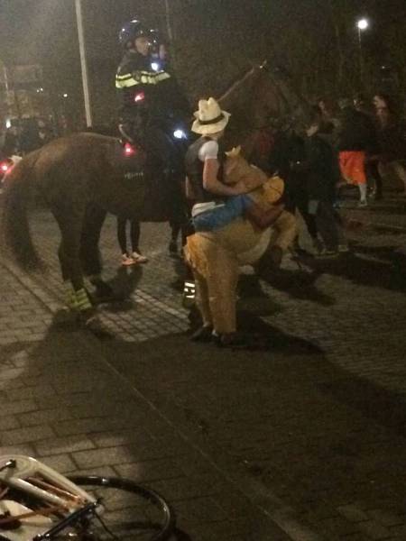 Daily Picdump