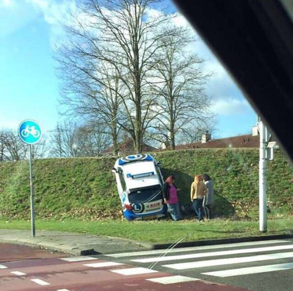 Daily Picdump