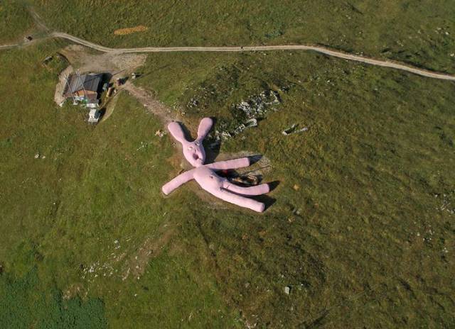 Daily Picdump