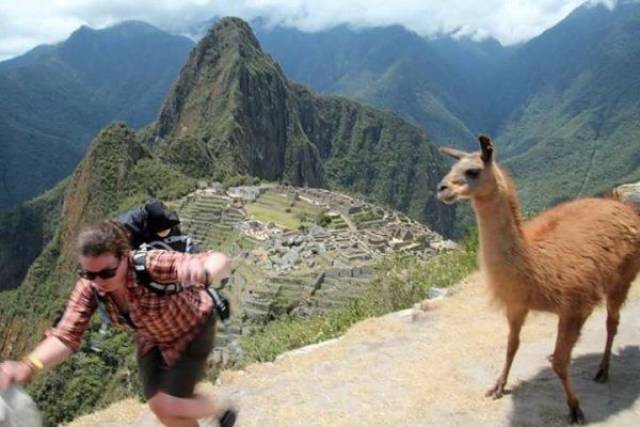 Content Image