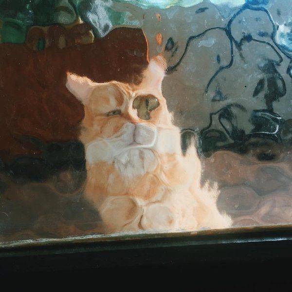 Content Image